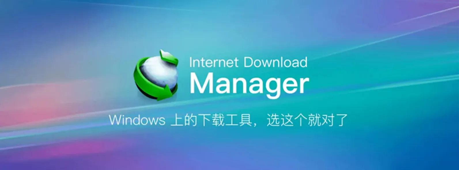 Internet Download Manager 6.41.17 绿色特别版 (IDM)-OMii 